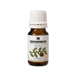 Burgess & Finch Cypress Oil 10ml