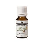 Burgess & Finch Fennel Oil 10ml