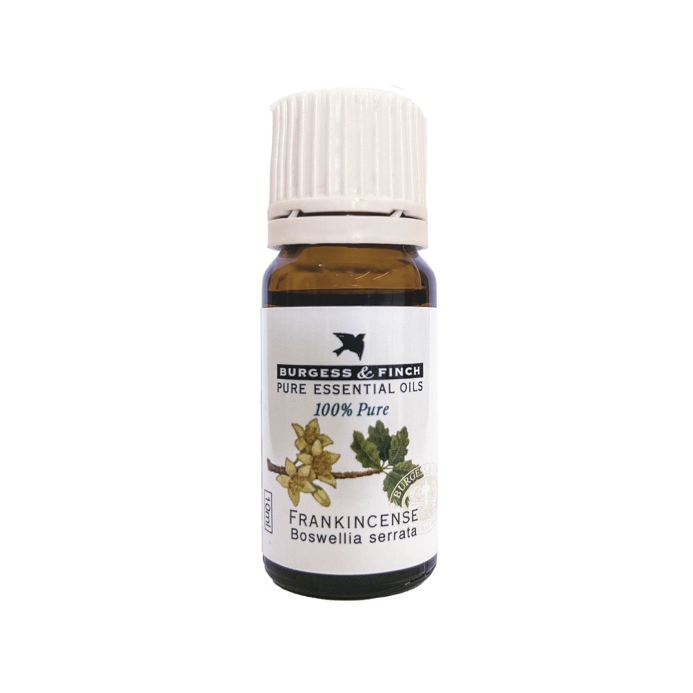 frankincense new Burgess & Finch Frankincense Oil 10ml - Image 1