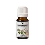 Burgess & Finch Jasmine Oil 10ml (Blend)
