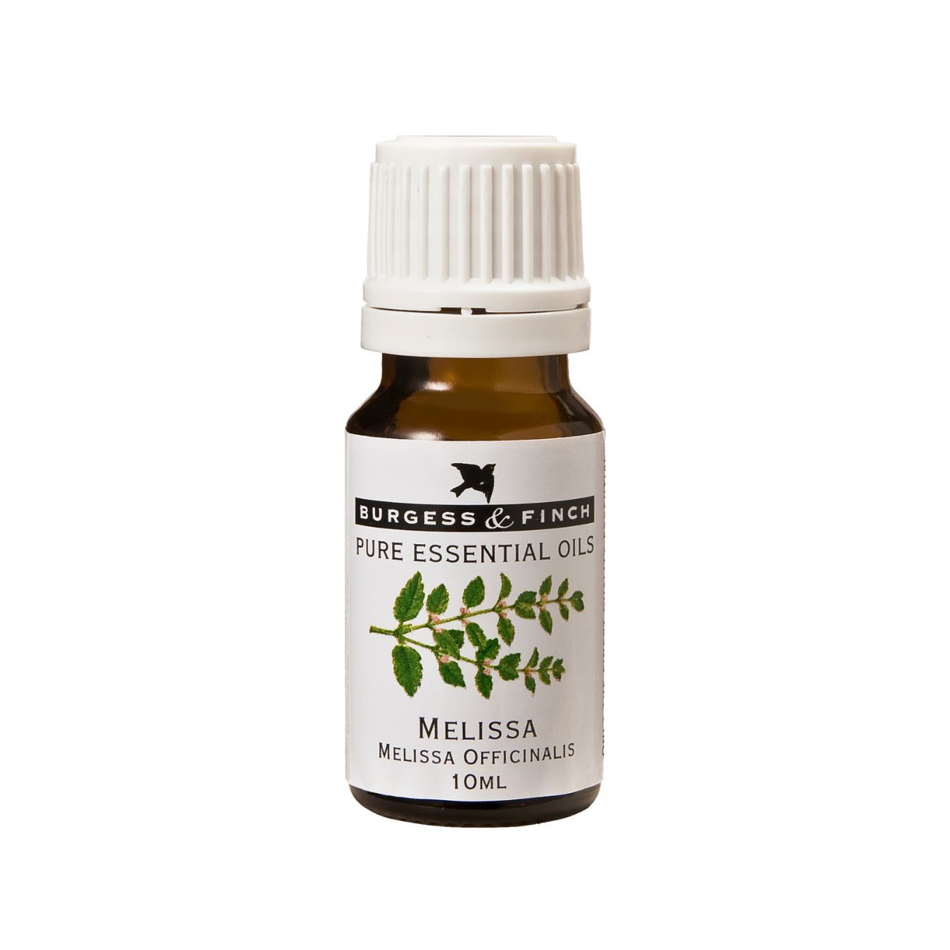 melissa Burgess & Finch Melissa Oil 10ml - Image 1