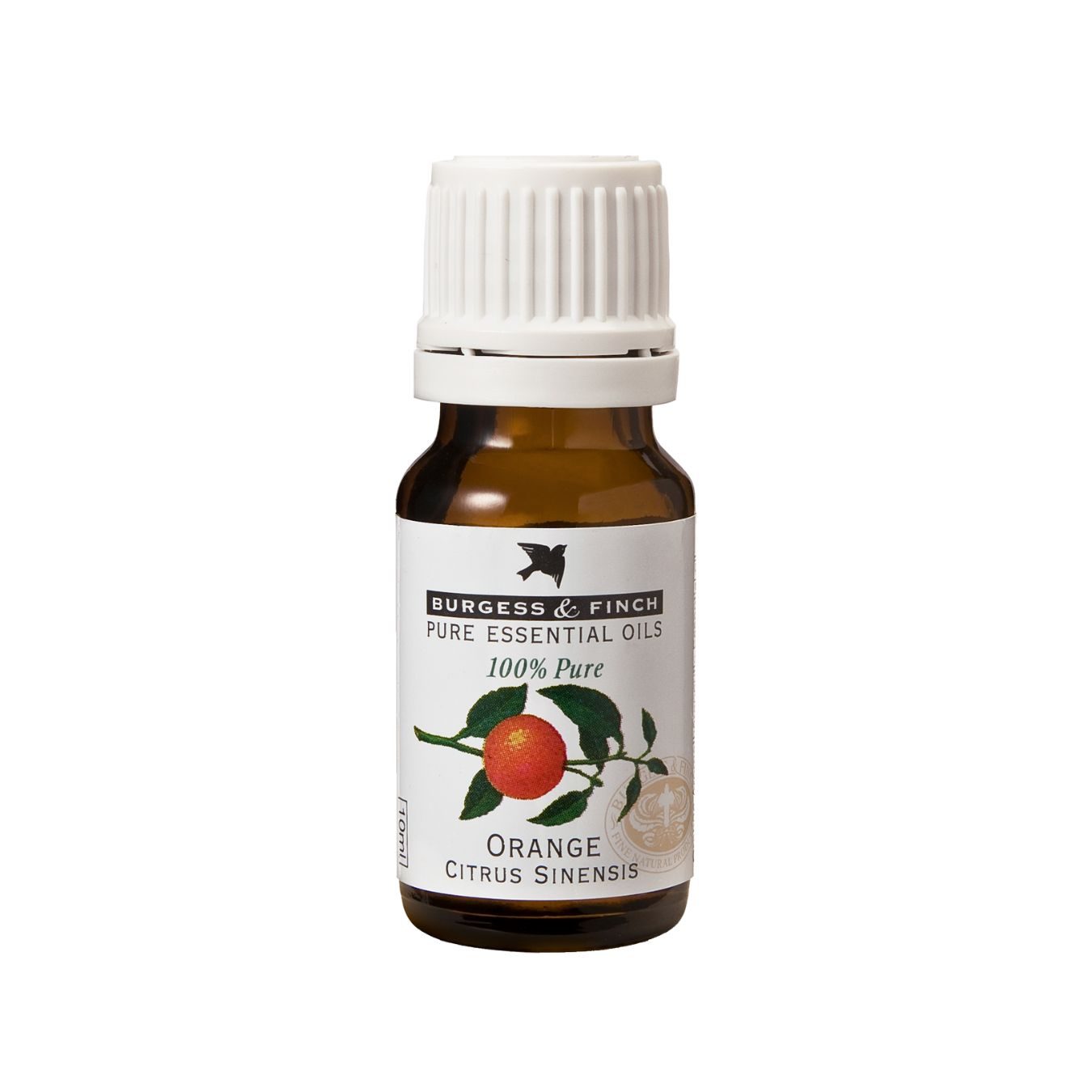 orange Burgess & Finch Orange Oil 10ml - Image 1