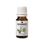 Burgess & Finch Peppermint Oil 10ml