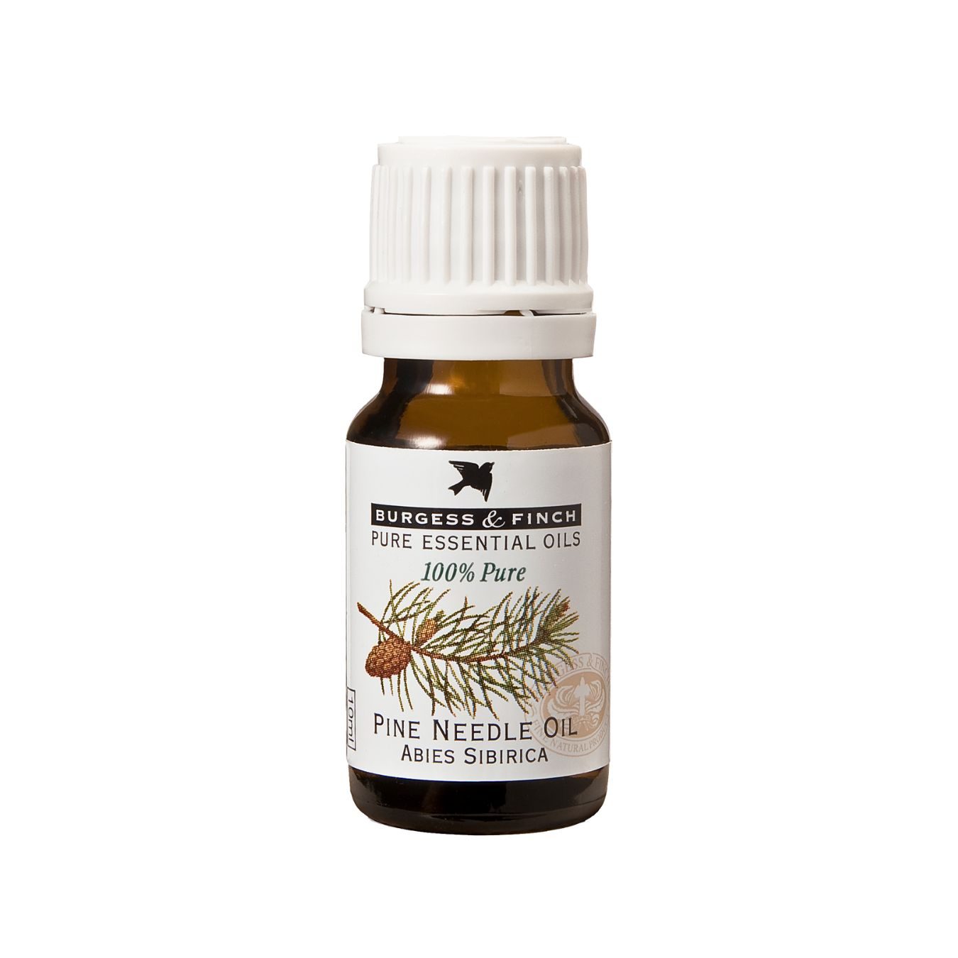 pine needle Burgess & Finch Pine Oil 10ml - Image 1