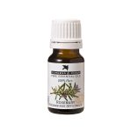 Burgess & Finch Rosemary Oil 10ml