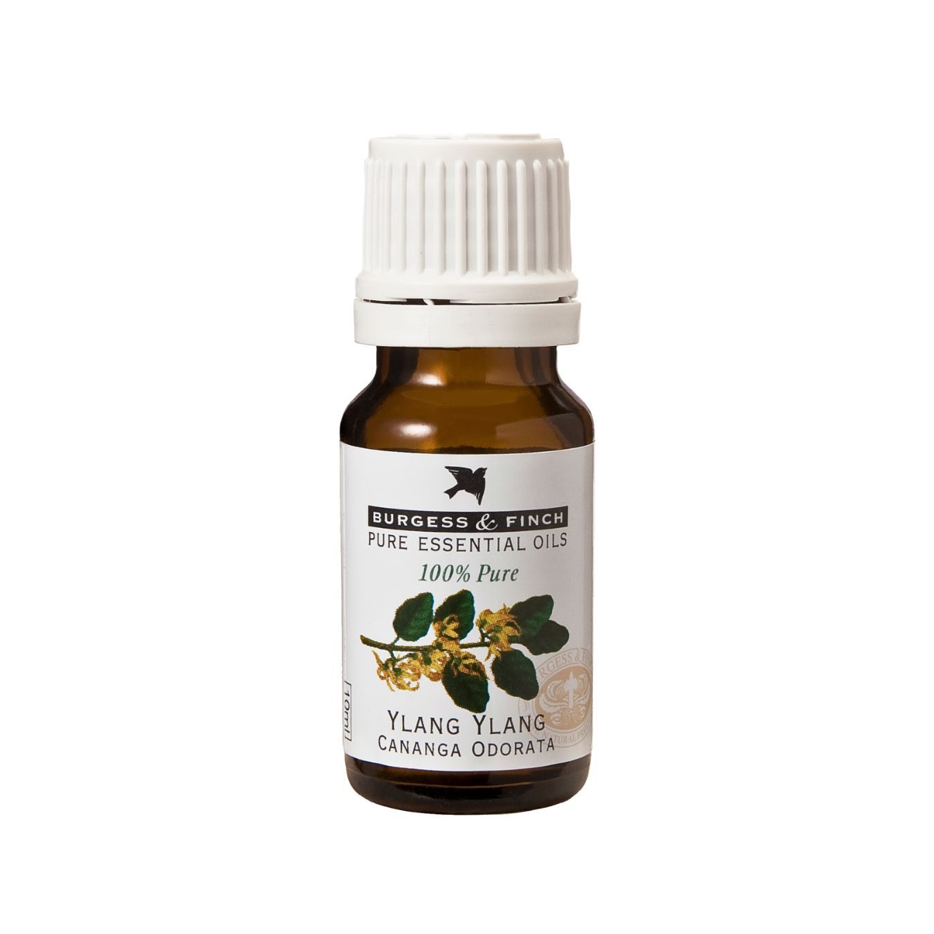 ylang ylang Burgess & Finch Ylang Ylang Oil 10ml - Image 1